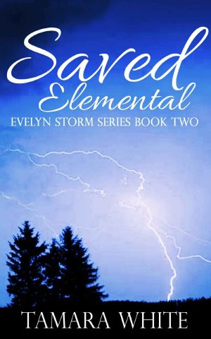 [Evelyn Storm 02] • Saved Elemental (Evelyn Storm Series Book 2)